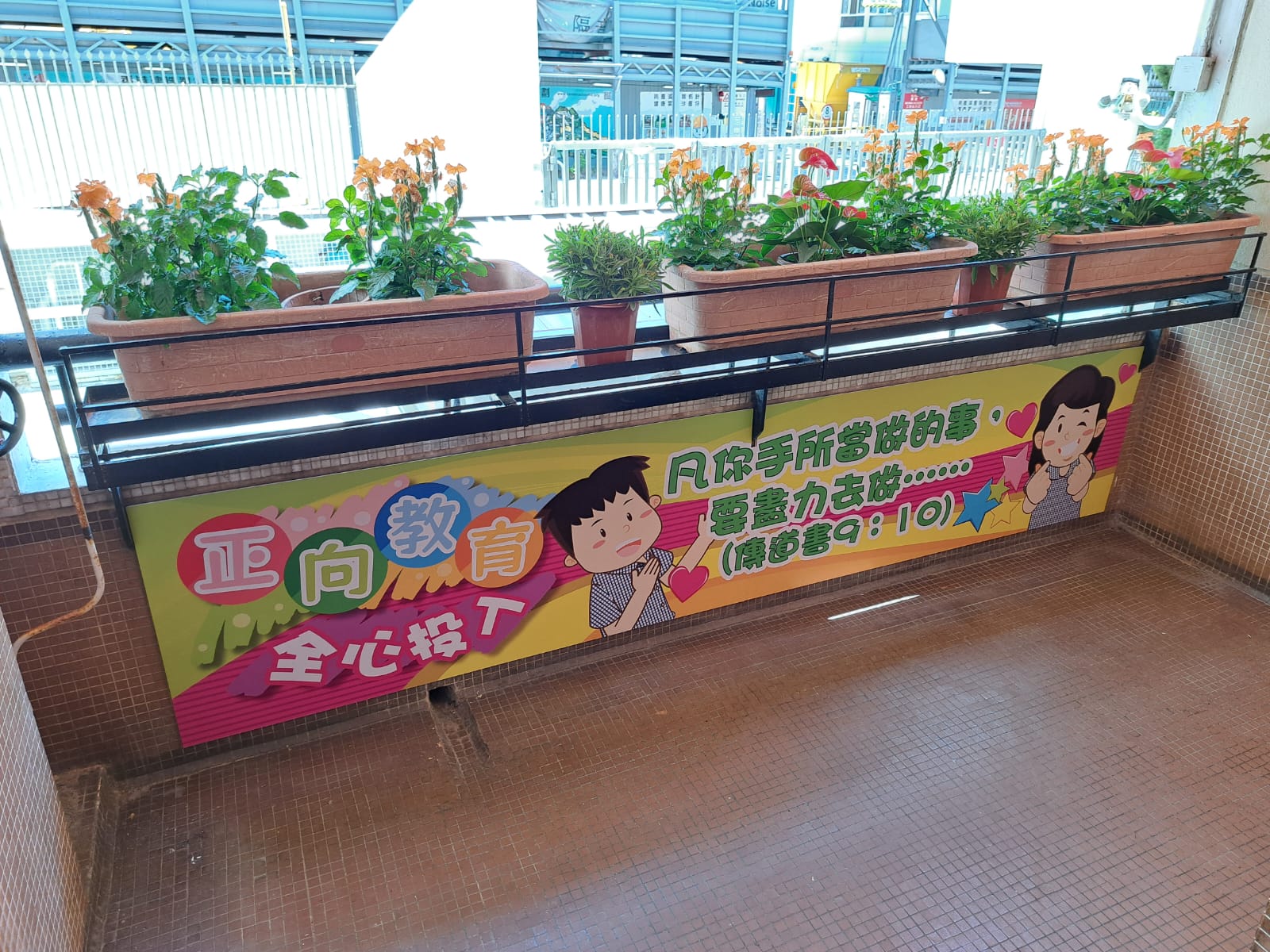 images
